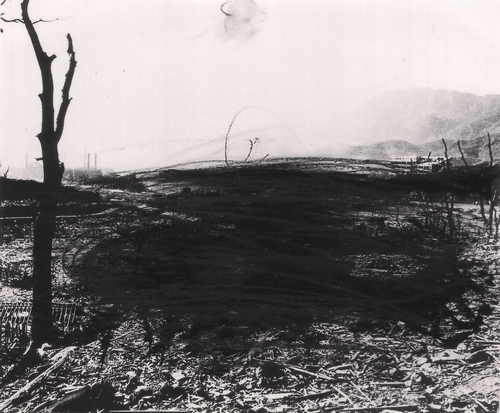 ARNULF RAINER “Hiroshima”, 1982, courtesy dell'artista e Eidos Immagini Contemporanee, Asti ARNULF RAINER “Hiroshima”, 1982, courtesy dell'artista e Eidos Immagini Contemporanee, Asti