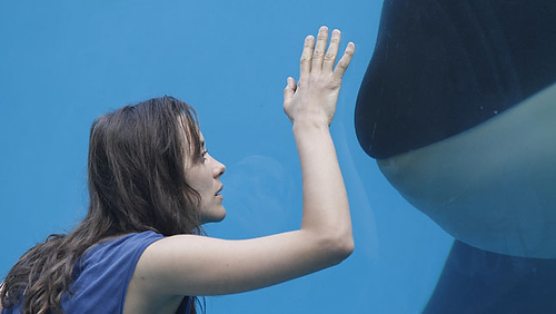 Rust and Bone - De Rouille et D'Os Rust and Bone - De Rouille et D'Os