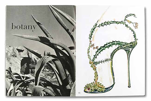 manolo-blahnik-new-shoes-book4 manolo-blahnik-new-shoes-book4