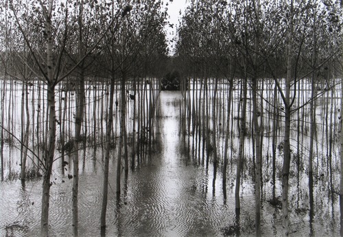 GEORGE TATDGE "The Po River", 2001, courtesy dell'artista GEORGE TATDGE "The Po River", 2001, courtesy dell'artista