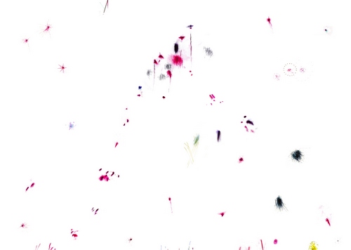 TIM LEHMACHER “Blush #3”, 2010, courtesy dell'artista e Amedeo Porro Arte Moderna e Contemporanea, Milano TIM LEHMACHER “Blush #3”, 2010, courtesy dell'artista e Amedeo Porro Arte Moderna e Contemporanea, Milano