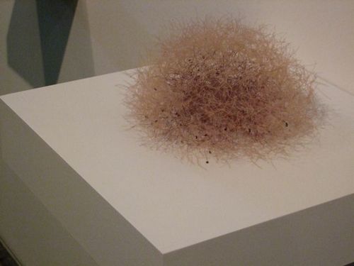 Christiane Lohr, 2010 Christiane Lohr, 2010