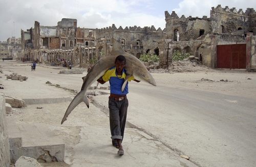 1st Prize Daily Life Single, Omar Feisal, Somalia, 1st Prize Daily Life Single, Omar Feisal, Somalia,